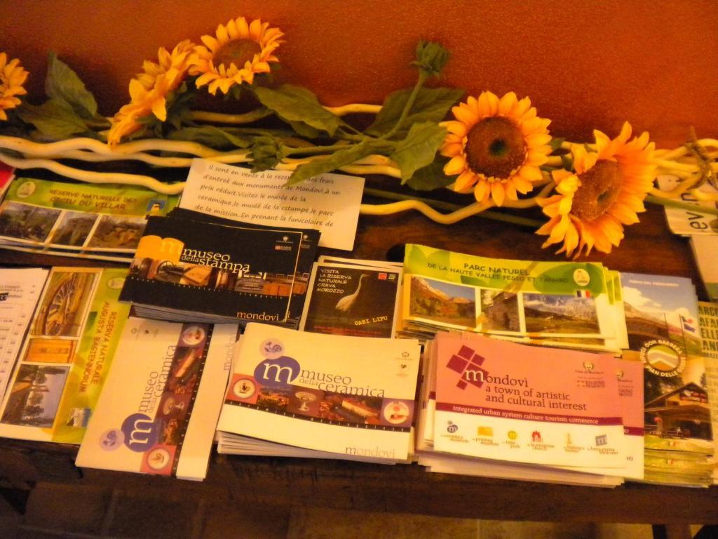 Agriturismo La Dimora Del Contadino Mondovi Ngoại thất bức ảnh